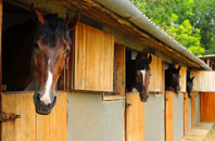 free Shotatton stable construction quotes
